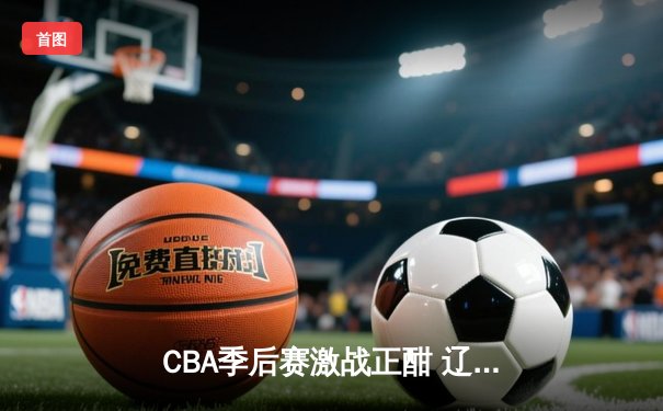 CBA季后赛激战正酣 辽宁本钢加时险胜广东宏远夺赛点
